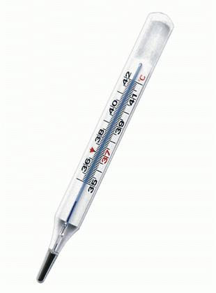 Термометр ртутный медицинский максимальный , стеклянный купить