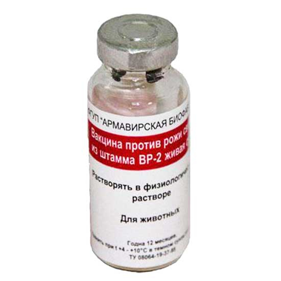 Вакцина против рожи свиней из штамма ВР-2 живая сухая, 35 доз