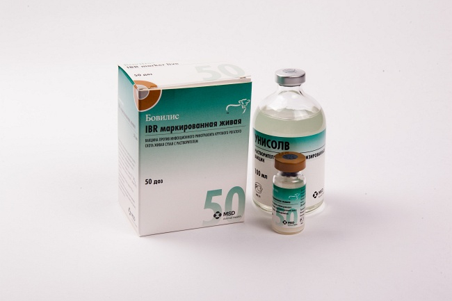 Вакцина Бовилис IBR маркированная 50 доз (упак.)
