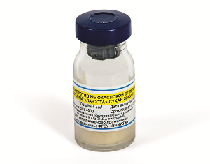 Вакцина против Ньюкаслской болезни из штамма "Ла-Сота" сухая живая, 4 000 доз (кратность 4шт)